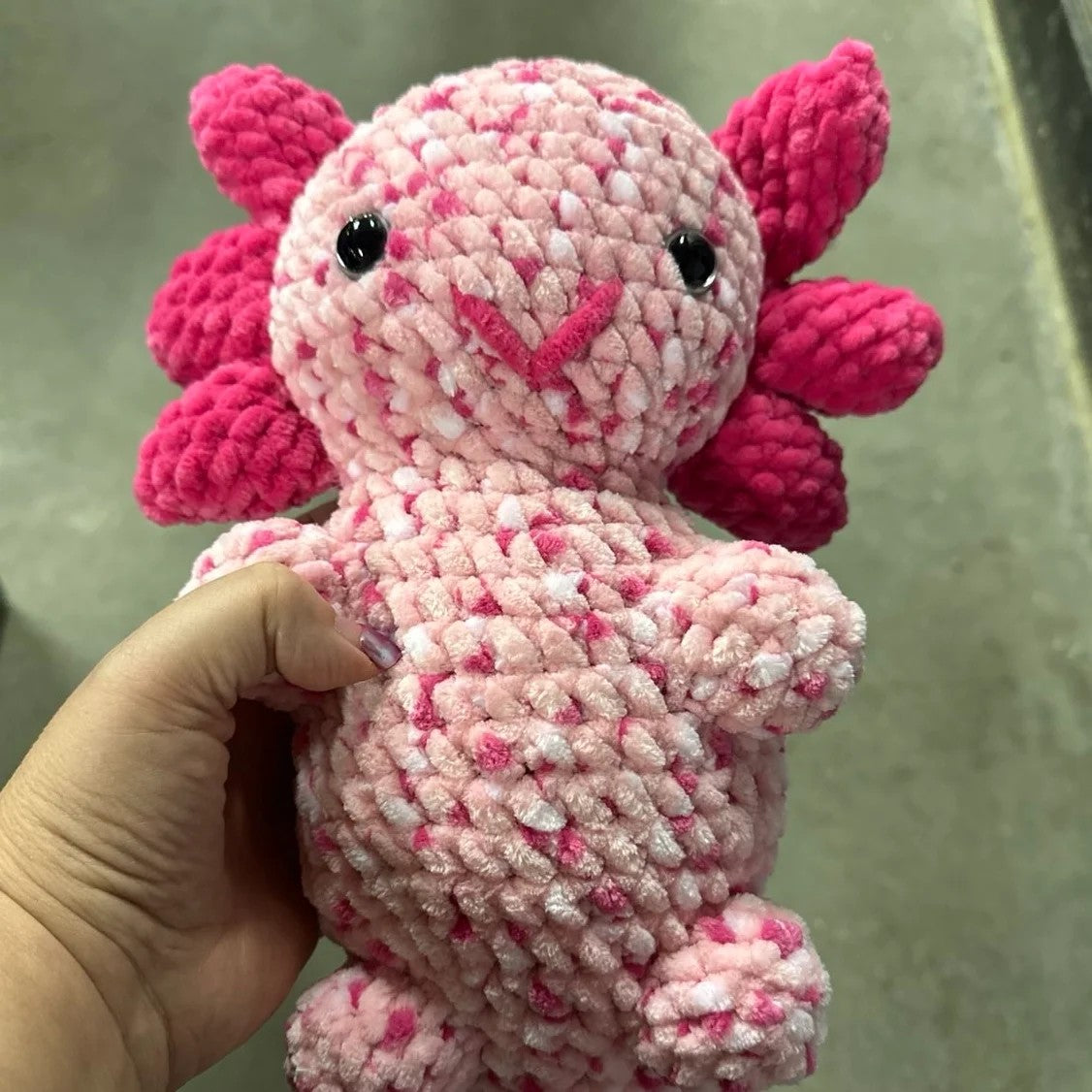 Axolotl
