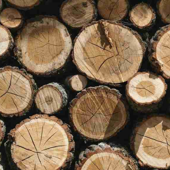 Wood Creations