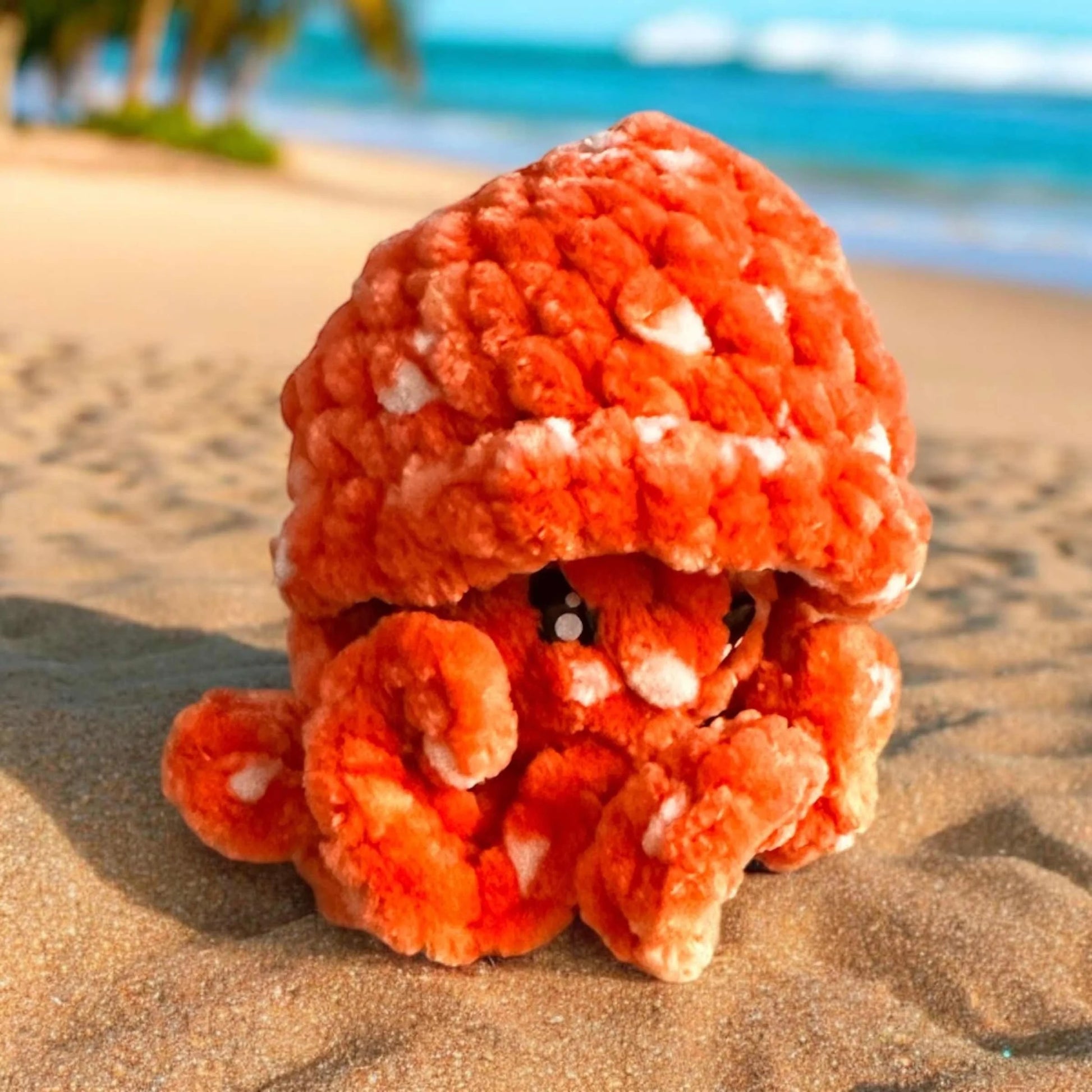 Jellyfish