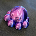 Small Octopus