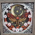 Deadhead Moth Shadowbox
