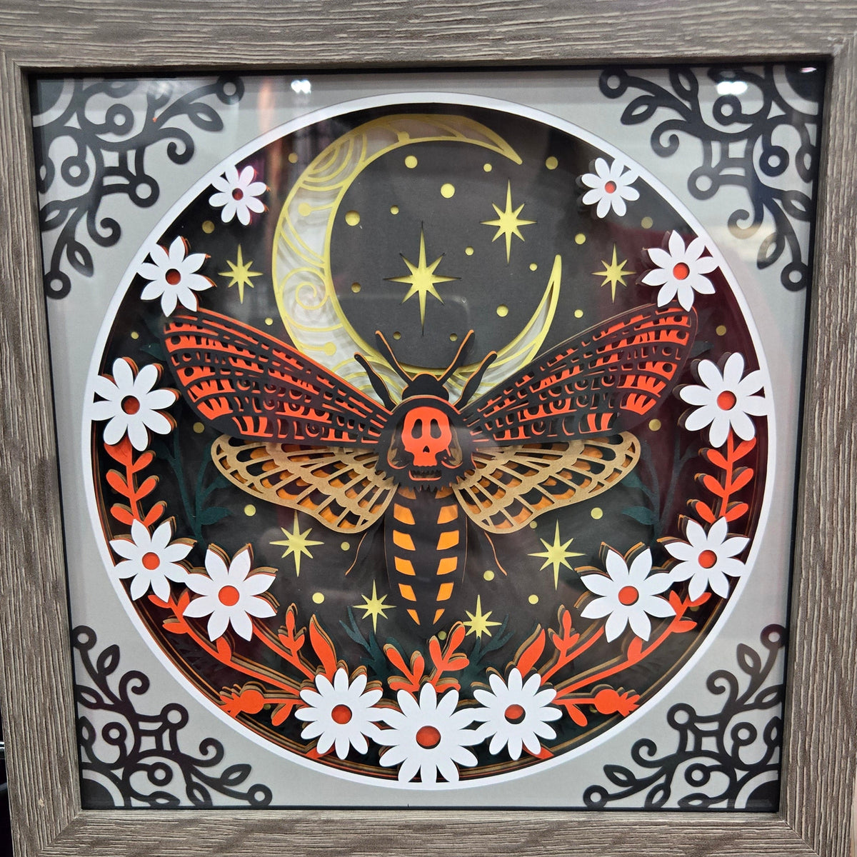 Deadhead Moth Shadowbox