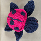Ladybug Turtle