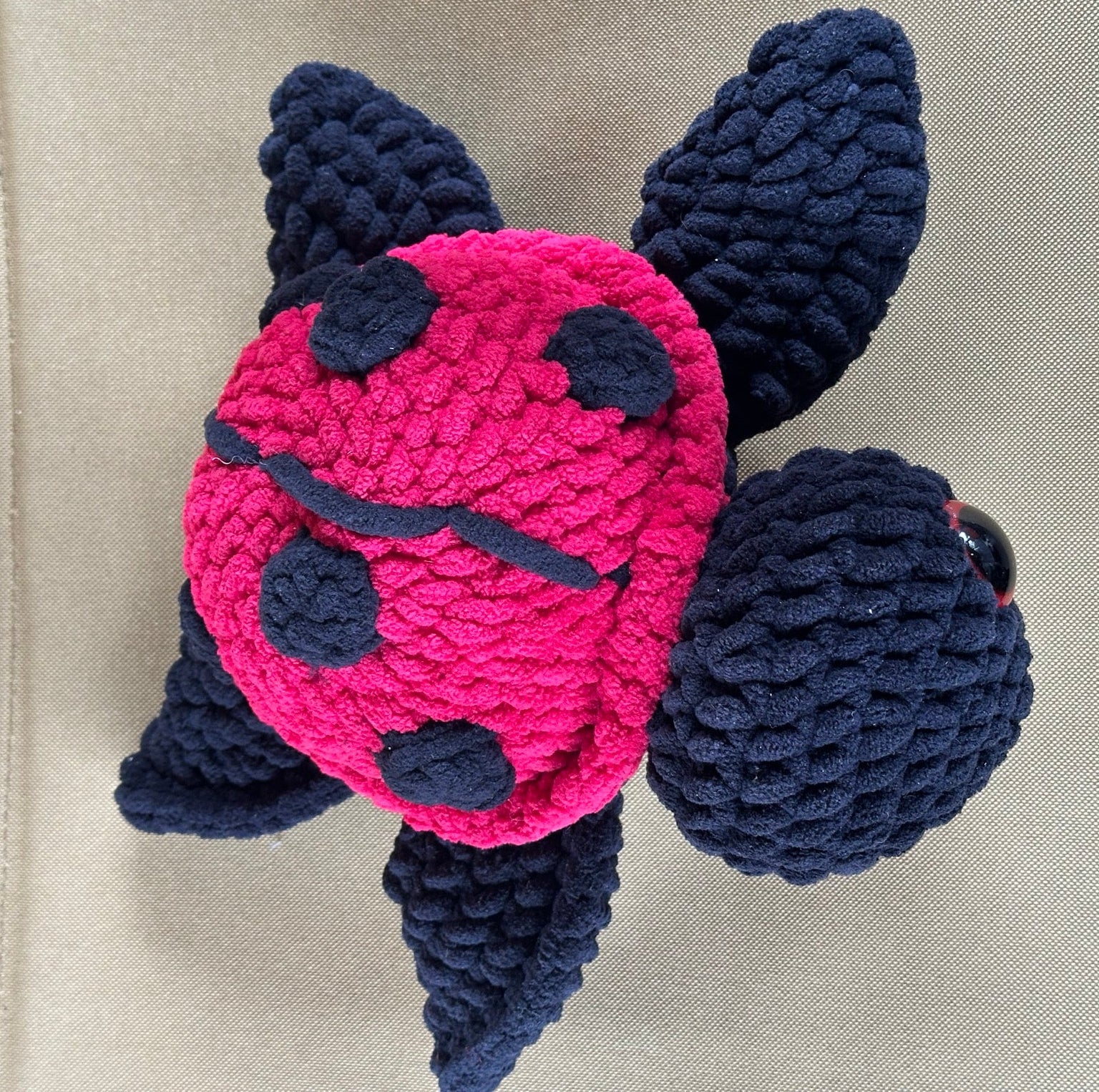 Ladybug Turtle